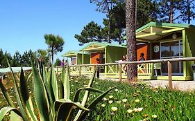 Ohai Nazare Outdoor Resorts